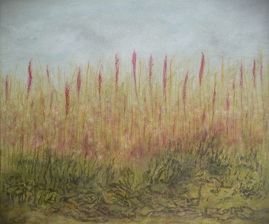 The Field of Dreams